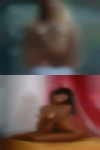 Local housewives adult sex